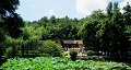 長沙出發(fā)到花明樓、韶山、張家界國家森林公園、天門仙山國家森林公園四日游
